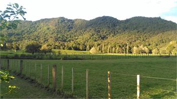Waitotara Cottage - Kerikeri