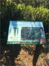 Waihi Beach Bush House - Waihi Beach
