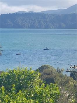 Champagne Tui - Marlborough Sounds