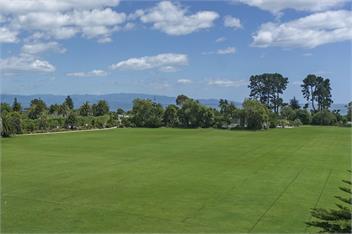 Oceanview Apartment - Beachside in Nelson - Nelson