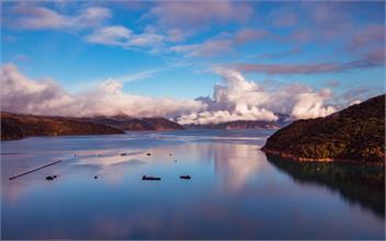 Whakitenga Cove - French Pass