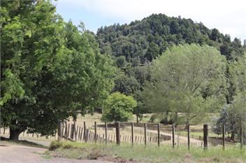 COZY ORGINAL FARM COTTAGE - Tui Ridge Homestay - Ohinewai