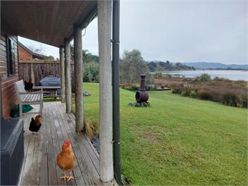 Pahoia Beachstay - The Crab Hut - Tauranga