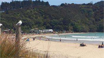 TAUPO BAY - Mangonui
