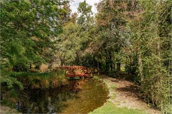 Caledonia (Bachcare) - Earnscleugh