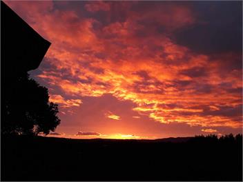Country Calm, mins to the Beach - Tauranga