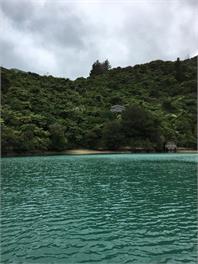 Te Mahia Haven - Marlborough