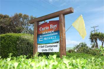 Curio Bay Seaside Accommodation - Curio Bay