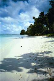 Aroa Beachfront House - Starlink Internet - Arorangi