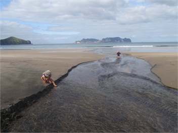 Shearers Quarters - Great Barrier Island