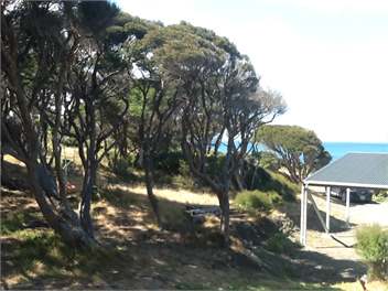 Kupe's Secret (The Bush Bach) - Palliser Bay