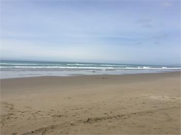"Beach House" - Herbertville