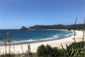 Medland's Beach Hideaway - Auckland