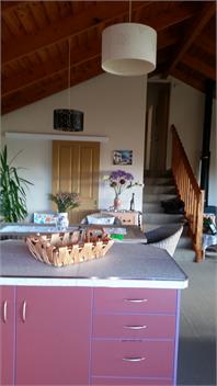 Treetops - Paihia