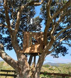 Ahipara Love Shack and Surfers Paradise - Northland