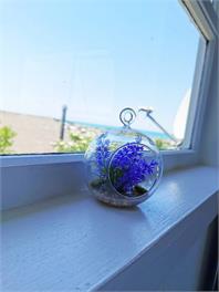 180 degrees sea view - Oamaru