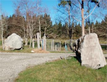 Stay On A Farm - Blue Spur Farmstay - Hokitika