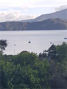 Champagne Tui - Marlborough Sounds