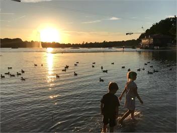 Unique Estuary | Bird Sanctuary Apartment | Paihia - Paihia