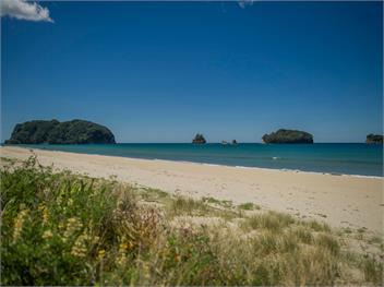 Sandy Doorstep (Bachcare) - Whangamata
