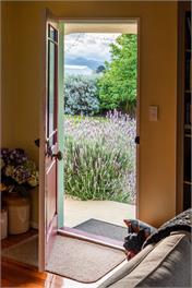 Taraview Cottage - 