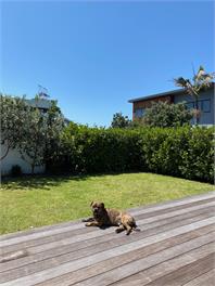 ** SURF COTTAGE ** MOUNT/OMANU LUXURY UNIT - MOUNT MAUNGANUI
