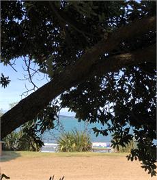 The Barn - Waiheke Island