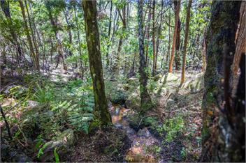 The Nature Hub - Whangarei