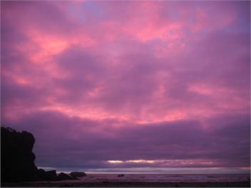 Paparoa Cottage - Punakaiki