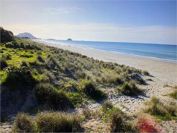 SEA BREEZE COTTAGE - Mt Maunganui