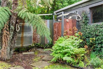 Pearl Magic (Bachcare) - Mangawhai
