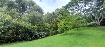 Rural Bay of Islands 1 acre with two blue heelers, 13 min Kerikeri 25 minutes by car to Paihia - Kerikeri