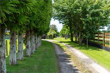 Onaeros Cute Little Cottages (Bachcare) - Waitara