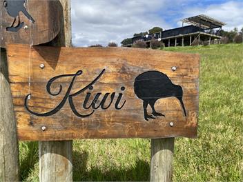 Kiwi Scenic Retreat - Northland