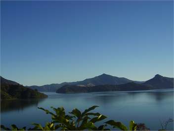 Sunny Family Style Bach/Holiday Home - Marlborough Sounds