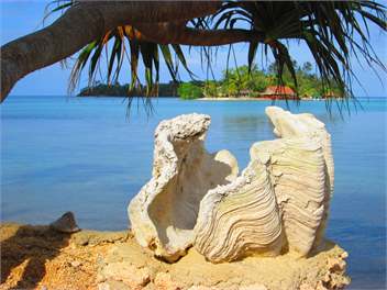 "TROPPO MYSTIQUE" - VANUATU - PORT VILA