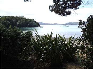 Holiday Home on Moturua Bay of Islands NZ - Russell