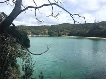 Holiday Home on Moturua Bay of Islands NZ - Russell