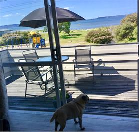 Lakeside Apartment close to city  - Rotorua