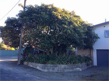 Pohara On The Beach - Fantastic for the Family - Golden Bay, Nelson