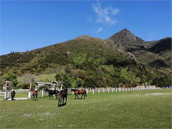 Tira Ora Estate - Pelorus Sound