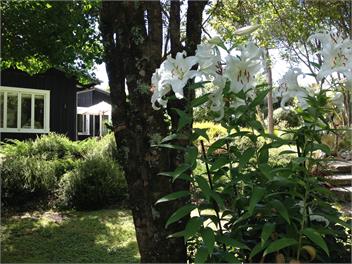 The Fishing Lodge - Turangi