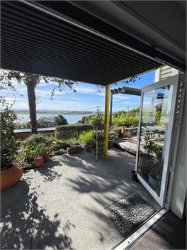 Under the Yellow Canopy - Christchurch