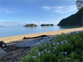 Tata Beach - prime location - Tata Beach