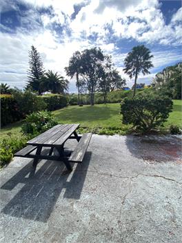 Lil Pink Gin - Northland