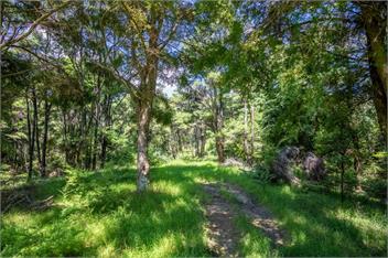 The Nature Hub - Whangarei