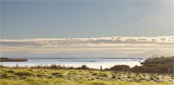Tio Point (Bachcare) - Papakura