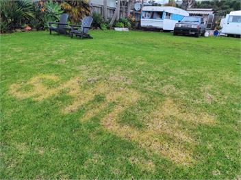 Bon Temps - Waikato