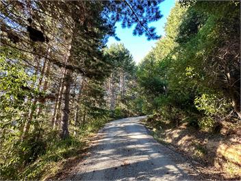 Amongst the pines | 2 bedroom bach | Stellar Views - Queenstown