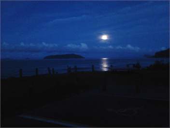 On Ocean Beach.. Paradise! - Tairua